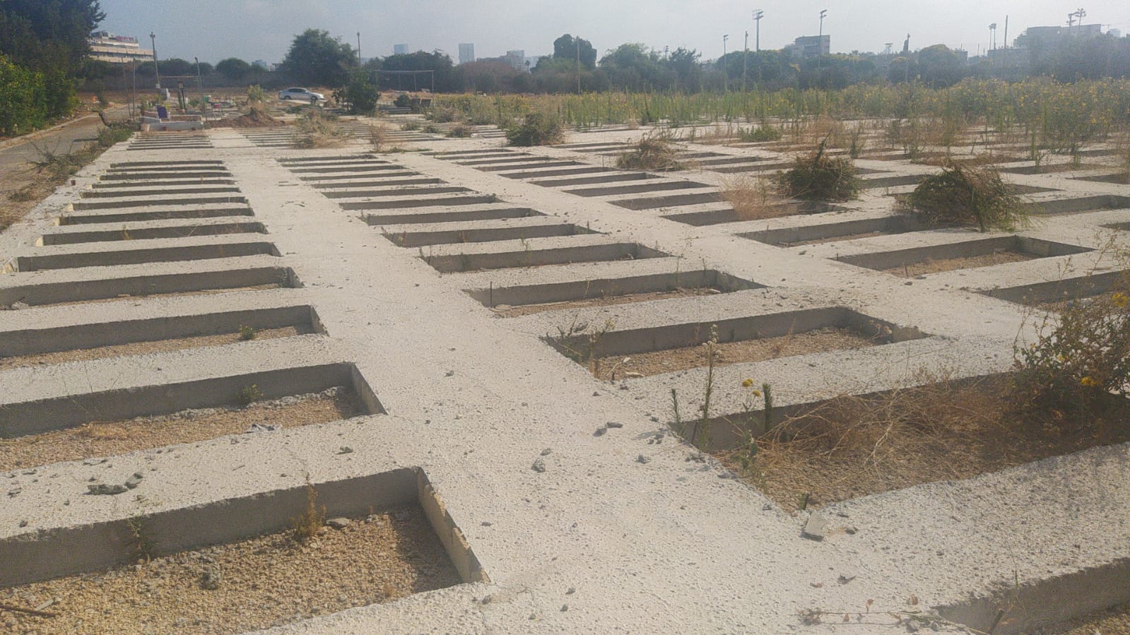 WhatsApp Image 2021-07-10 at 9.38.31 AM (1).jpeg